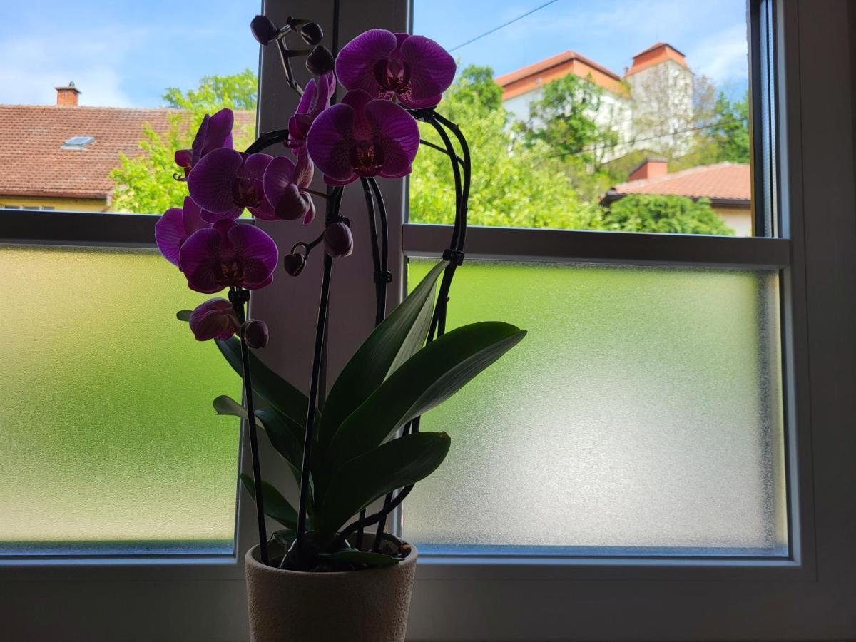 Landena Apartament *